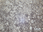 Thin Section Photo of Sample MIL 11050 in Reflected Light with 1.25x Magnification
