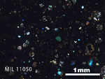 Thin Section Photo of Sample MIL 11050 in Cross-Polarized Light with 2.5x Magnification