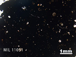Thin Section Photo of Sample MIL 11051 in Plane-Polarized Light with 1.25x Magnification