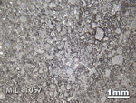 Thin Section Photo of Sample MIL 11057 in Reflected Light with 1.25x Magnification