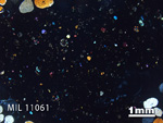 Thin Section Photo of Sample MIL 11061 in Cross-Polarized Light with 1.25x Magnification
