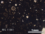 Thin Section Photo of Sample MIL 11061 in Plane-Polarized Light with 2.5x Magnification