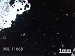 Thin Section Photo of Sample MIL 11063 in Plane-Polarized Light with 1.25x Magnification