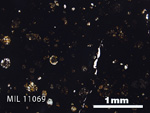 Thin Section Photo of Sample MIL 11069 in Plane-Polarized Light with 2.5x Magnification
