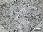 Thin Section Photo of Sample MIL 11073 in Reflected Light with 1.25x Magnification