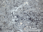 Thin Section Photo of Sample MIL 11073 in Reflected Light with 2.5x Magnification