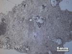 Thin Section Photo of Sample MIL 11097 in Reflected Light with 1.25X Magnification