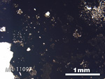 Thin Section Photo of Sample MIL 11097 in Plane-Polarized Light with 2.5X Magnification