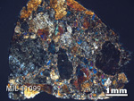 Thin Section Photo of Sample MIL 11099 in Cross-Polarized Light with 1.25X Magnification