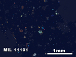 Thin Section Photo of Sample MIL 11101 in Cross-Polarized Light with 2.5X Magnification