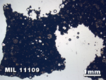 Thin Section Photo of Sample MIL 11109 in Plane-Polarized Light with 1.25X Magnification