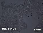 Thin Section Photo of Sample MIL 11109 in Reflected Light with 1.25X Magnification