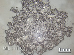 Thin Section Photo of Sample MIL 11110 in Reflected Light with 1.25x Magnification