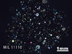 Thin Section Photo of Sample MIL 11110 in Cross-Polarized Light with 1.25x Magnification