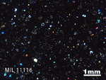 Thin Section Photo of Sample MIL 11116 in Cross-Polarized Light with 1.25x Magnification