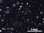 Thin Section Photo of Sample MIL 11116 in Plane-Polarized Light with 2.5x Magnification