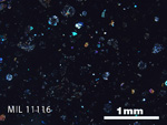Thin Section Photo of Sample MIL 11116 in Cross-Polarized Light with 2.5x Magnification