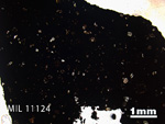 Thin Section Photo of Sample MIL 11124 in Plane-Polarized Light with 1.25x Magnification