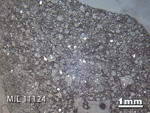 Thin Section Photo of Sample MIL 11124 in Reflected Light with 1.25x Magnification