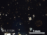 Thin Section Photo of Sample MIL 11124 in Plane-Polarized Light with 2.5x Magnification
