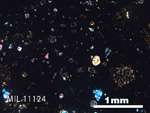 Thin Section Photo of Sample MIL 11124 in Cross-Polarized Light with 2.5x Magnification