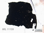 Thin Section Photo of Sample MIL 11150 in Plane-Polarized Light with 1.25x Magnification
