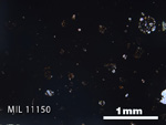 Thin Section Photo of Sample MIL 11150 in Plane-Polarized Light with 2.5x Magnification