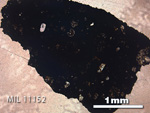 Thin Section Photo of Sample MIL 11152 in Plane-Polarized Light with 2.5x Magnification