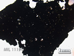 Thin Section Photo of Sample MIL 11154 in Plane-Polarized Light with 1.25x Magnification