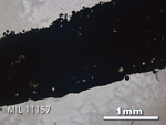 Thin Section Photo of Sample MIL 11157 in Plane-Polarized Light with 2.5x Magnification