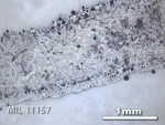 Thin Section Photo of Sample MIL 11157 in Reflected Light with 2.5x Magnification