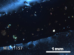 Thin Section Photo of Sample MIL 11157 in Cross-Polarized Light with 2.5x Magnification