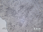 Thin Section Photo of Sample MIL 11201 in Reflected Light with 1.25X Magnification