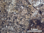 Thin Section Photo of Sample MIL 11201 in Plane-Polarized Light with 2.5X Magnification