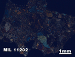 Thin Section Photo of Sample MIL 11202 in Cross-Polarized Light with 1.25X Magnification