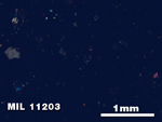 Thin Section Photo of Sample MIL 11203 in Cross-Polarized Light with 2.5X Magnification