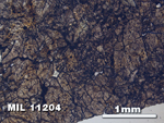 Thin Section Photo of Sample MIL 11204 in Plane-Polarized Light with 2.5X Magnification