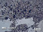 Thin Section Photo of Sample MIL 11207 in Plane-Polarized Light with 1.25X Magnification