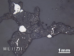 Thin Section Photo of Sample MIL 11231 in Reflected Light with 1.25x Magnification