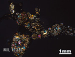 Thin Section Photo of Sample MIL 11231 in Cross-Polarized Light with 1.25x Magnification