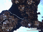 Thin Section Photo of Sample MIL 11231 in Plane-Polarized Light with 2.5x Magnification