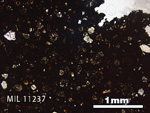 Thin Section Photo of Sample MIL 11237 in Plane-Polarized Light with 2.5x Magnification