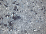 Thin Section Photo of Sample MIL 11252 in Reflected Light with 2.5x Magnification