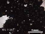 Thin Section Photo of Sample MIL 11261 in Plane-Polarized Light with 2.5x Magnification