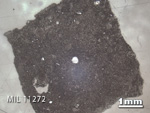 Thin Section Photo of Sample MIL 11272 in Reflected Light with 1.25x Magnification