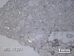 Thin Section Photo of Sample MIL 11291 in Reflected Light with 1.25X Magnification