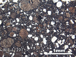 Thin Section Photo of Sample MIL 11291 in Plane-Polarized Light with 2.5X Magnification
