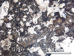 Thin Section Photo of Sample MIL 11292 in Plane-Polarized Light with 2.5X Magnification
