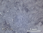 Thin Section Photo of Sample MIL 11292 in Reflected Light with 2.5X Magnification
