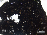 Thin Section Photo of Sample MIL 11293 in Plane-Polarized Light with 1.25x Magnification